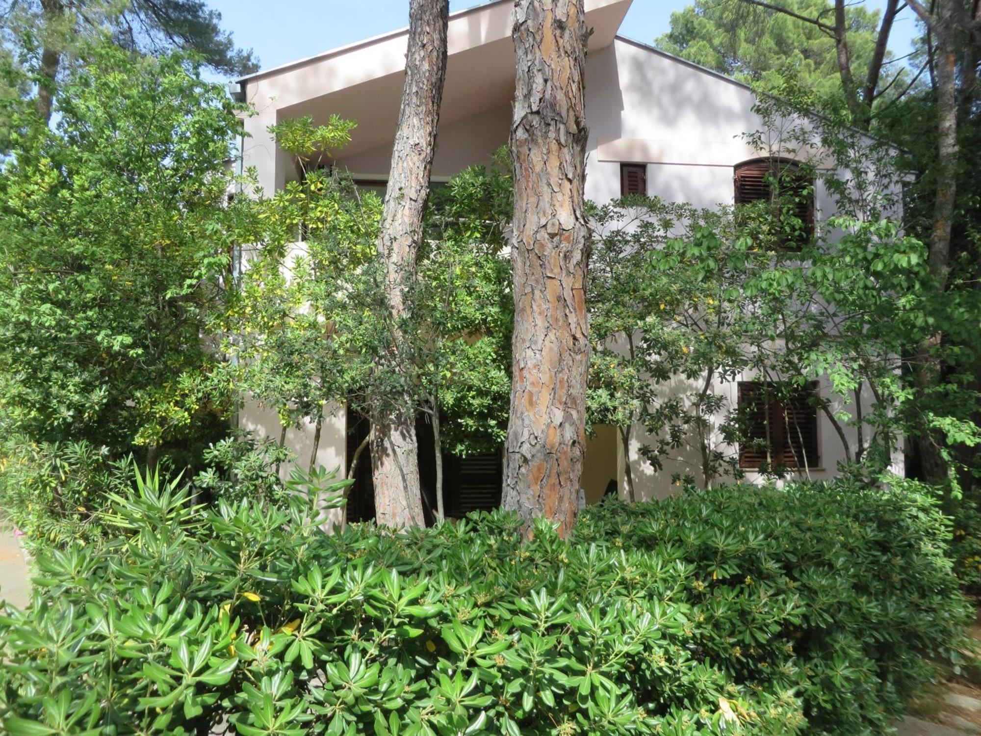 ביוגראד נה מורו Soline Beach Apartments חדר תמונה
